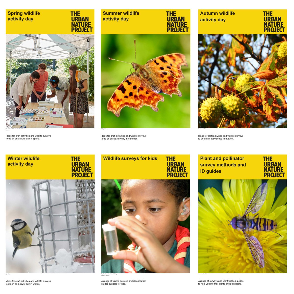 Becky_Clover's tweet image. If you are looking for ways to monitor wildlife, check out the new catalogues on the Nature Recording Hub: nhm.ac.uk/take-part/moni…

We have put together collections of surveys organised by species group &amp;amp; theme, to suit enthusiasts from beginners to more advanced recorders 🦇🦎🐝