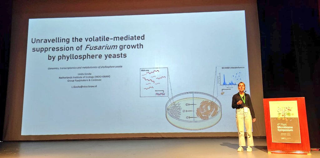 Linda Gouka (@linda_gouka) on Twitter photo Happy to be able to present our newest data on the potential of yeast to control mycotoxin contamination, at the Plant Microbiome conference in Quito. Together with <a href="/VivianeCordovez/">Viviane Cordovez</a> for the <a href="/matrix_projekt/">MATRIX</a> at <a href="/niooknaw/">NL Inst of Ecology</a>. Happy to be able to present our newest data on the potential of yeast to control mycotoxin contamination, at the Plant Microbiome conference in Quito. Together with <a href="/VivianeCordovez/">Viviane Cordovez</a> for the <a href="/matrix_projekt/">MATRIX</a> at <a href="/niooknaw/">NL Inst of Ecology</a>.