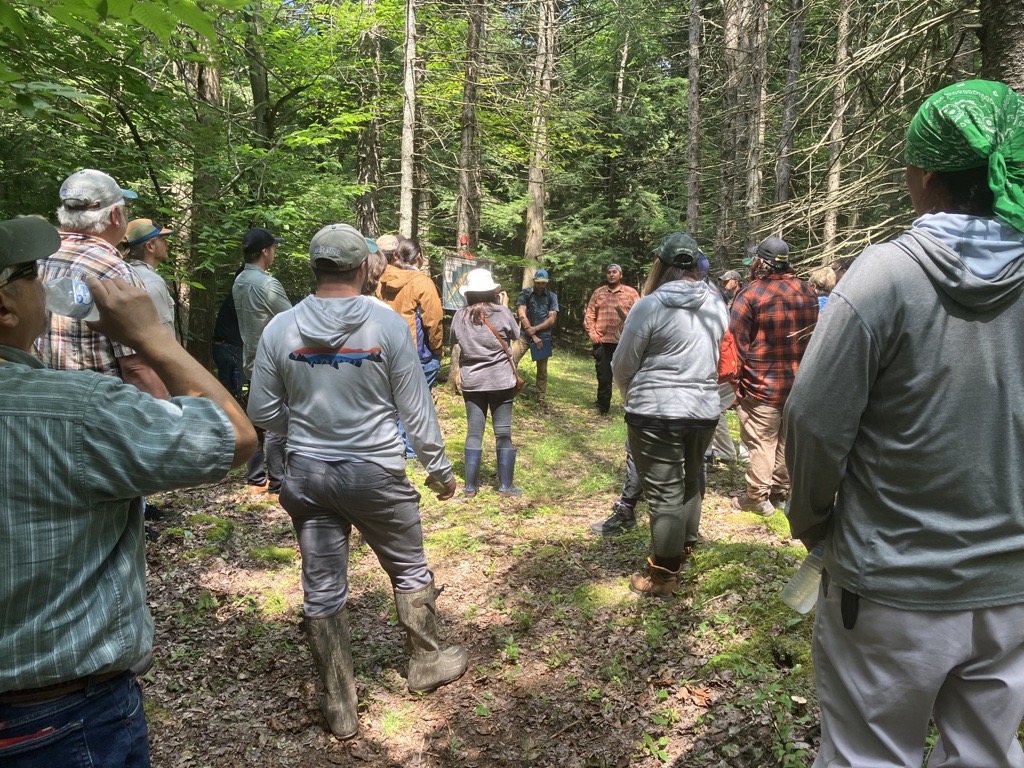 As EAB spreads across the NE, Maggie Mansfield, NE Region Manager, was honored to attend Ash Resource Gathering in Akwesasne last month, where basketmakers &amp; Tribal natural resource managers, as well as agencies &amp; individuals committed to preserving ash, met to discuss brown ash