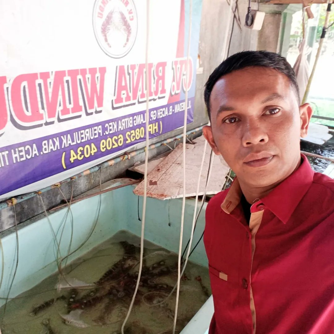 BKIPM_Langsa's tweet photo. #onehealthkipm giat pemeriksaan pengiriman induk udang windu asal Kab. Aceh Timur jumlah 30 ekor tujuan Kota Pontianak @BKIPMPontianak Kalimantan Barat
#KKPThrive 
#MenteriKKP 
#BKIPM https://t.co/0RBJoRg4td
