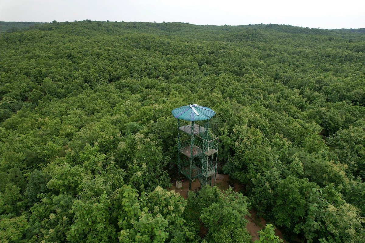 Telangana Forest Dept. tweet media