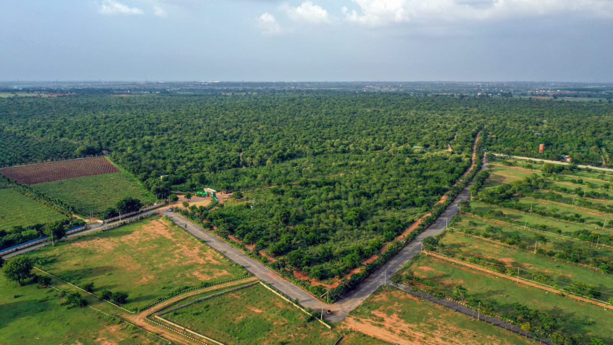 Telangana Forest Dept. (@harithaharam) on Twitter photo *స్వతంత్ర భారత వజ్రోత్సవాల ముగింపు వేడుకలను ఘనంగా నిర్వహించనున్న రాష్ట్ర ప్రభుత్వం*
*భారత వజ్రోత్సవ ప్లాంటేషన్ పేరుతో ఒక కోటి మొక్కలను నాటాలని లక్ష్యం*
<a href="/TelanganaCMO/">Telangana CMO</a>
<a href="/IKReddyAllola/">Indrakaran Reddy</a>
<a href="/KTRBRS/">KTR</a>
<a href="/BRSHarish/">Harish Rao Thanneeru</a>
<a href="/SantoshKumarBRS/">Santosh Kumar J</a>
<a href="/TelanganaCS/">Office of Chief Secretary, Telangana Govt.</a>
<a href="/dobriyalrm/">R. M. Dobriyal , IFS</a>
<a href="/SmitaSabharwal/">Smita Sabharwal</a>
<a href="/HiHyderabad/">Hi Hyderabad</a> *స్వతంత్ర భారత వజ్రోత్సవాల ముగింపు వేడుకలను ఘనంగా నిర్వహించనున్న రాష్ట్ర ప్రభుత్వం*
*భారత వజ్రోత్సవ ప్లాంటేషన్ పేరుతో ఒక కోటి మొక్కలను నాటాలని లక్ష్యం*
<a href="/TelanganaCMO/">Telangana CMO</a>
<a href="/IKReddyAllola/">Indrakaran Reddy</a>
<a href="/KTRBRS/">KTR</a>
<a href="/BRSHarish/">Harish Rao Thanneeru</a>
<a href="/SantoshKumarBRS/">Santosh Kumar J</a>
<a href="/TelanganaCS/">Office of Chief Secretary, Telangana Govt.</a>
<a href="/dobriyalrm/">R. M. Dobriyal , IFS</a>
<a href="/SmitaSabharwal/">Smita Sabharwal</a>
<a href="/HiHyderabad/">Hi Hyderabad</a>