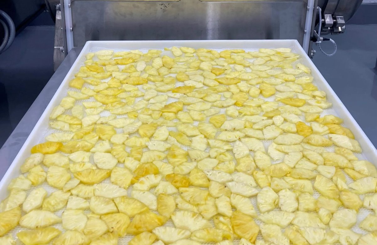BranchOutSnacks's tweet photo. 🍍 Exciting news for SoCal Costco shoppers!🍍 - BranchOut Pineapple Chips now available August through September, 100% real dried pineapple, single ingredient, no added sugar, crunchy, sweet &amp; delicious! If you're in Southern California, try them at your local Costco! https://t.co/XampDhyvty