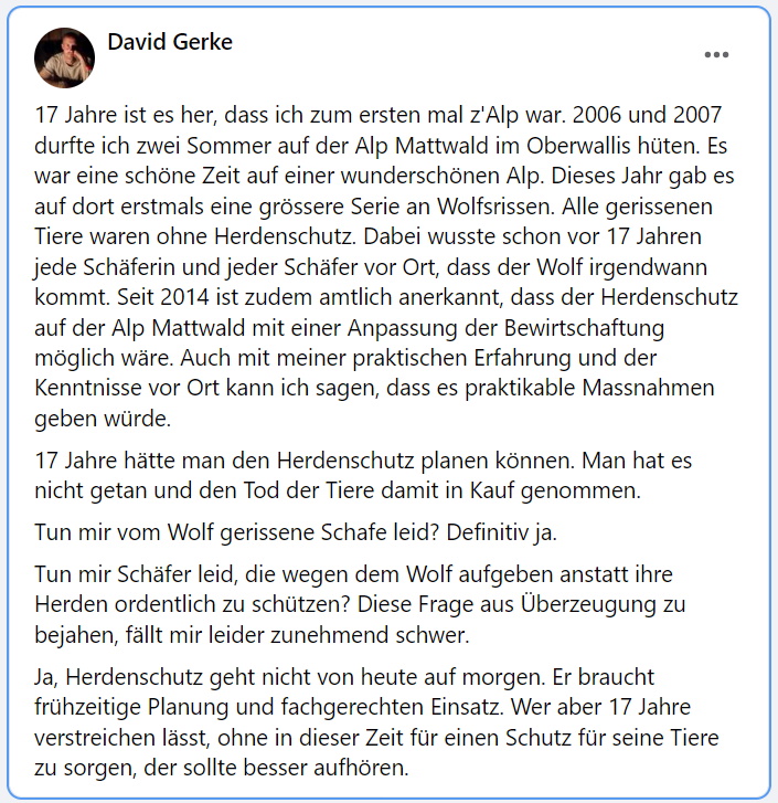 DavidGerke85's tweet photo. Vor 17 Jahren durfte ich auf der Alp Mattwald im #Wallis #Schafe hüten. Nun gab es auf dort erstmals eine Serie an Wolfsrissen - ohne #Herdenschutz. Wer 17 Jahre verstreichen lässt, ohne in dieser Zeit für einen Schutz für seine Tiere zu sorgen, der sollte besser aufhören. https://t.co/ns7T5CucJc