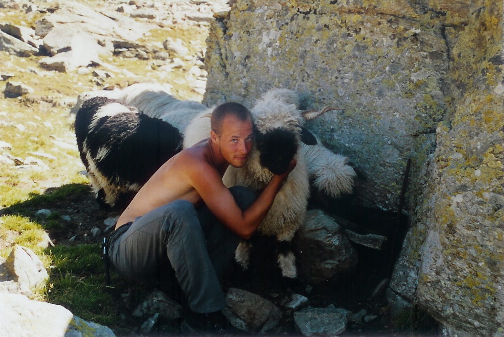 DavidGerke85's tweet photo. Vor 17 Jahren durfte ich auf der Alp Mattwald im #Wallis #Schafe hüten. Nun gab es auf dort erstmals eine Serie an Wolfsrissen - ohne #Herdenschutz. Wer 17 Jahre verstreichen lässt, ohne in dieser Zeit für einen Schutz für seine Tiere zu sorgen, der sollte besser aufhören. https://t.co/ns7T5CucJc