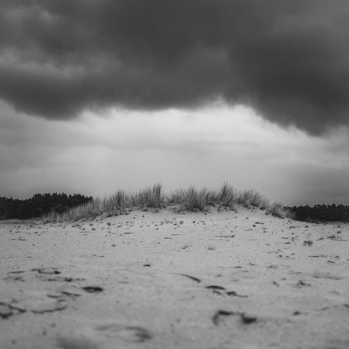 Thornspiccerpad I #klompenpad 📷