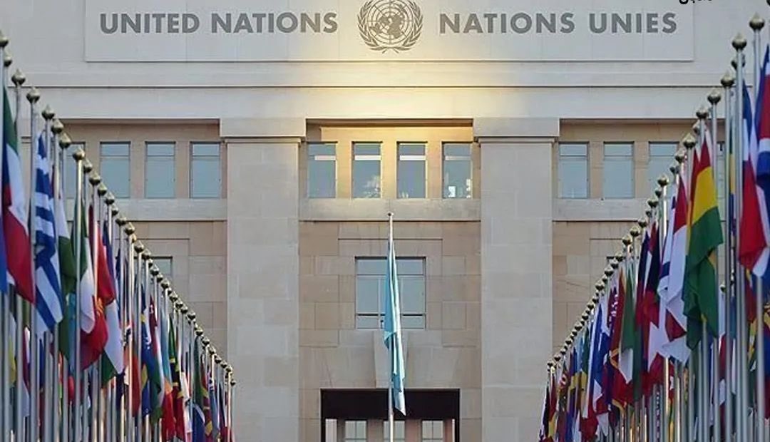 #کمیته_حقیقت‌یاب #سازمان_ملل طی بیانیه‌ای از شهروندان، گروه‌ها و سازمان‌ها دعوت کرد تا اطلاعات، مدارک و شواهد خود را که نشان از نقض گسترده حقوق بشر در جریان خیزش سراسری #زن_زندگی_ازادی دارد را به این کمیته ارسال کنند. 
با توجه به اینکه کمیته موظف شده است در اجلاس ۵۵ شورای حقوق