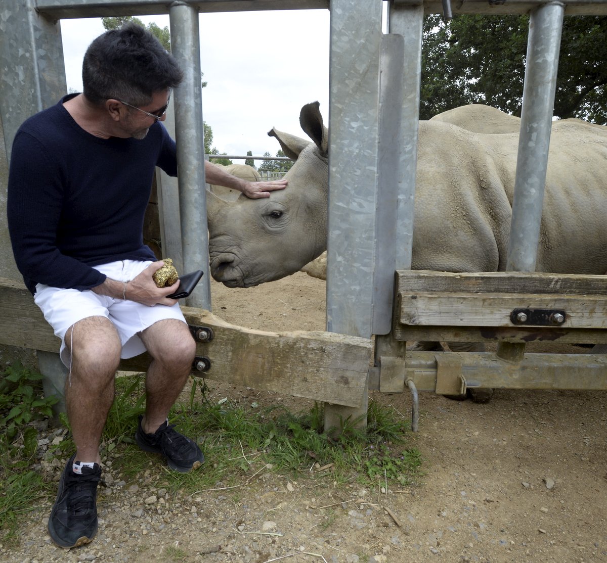 One rhino’s waste is another man’s treasure! ✨
We are excited to share that a rhino dung gilded in gold is available in our Endangered Faeces Auction in partnership with <a href="/CotsWildTweets/">CotswoldWildlifePark</a>! After a generous staring bid from <a href="/SimonCowell/">Simon Cowell</a>, this unique auction prize is ready for its..