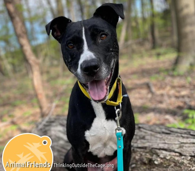 Cris Winter tweet media