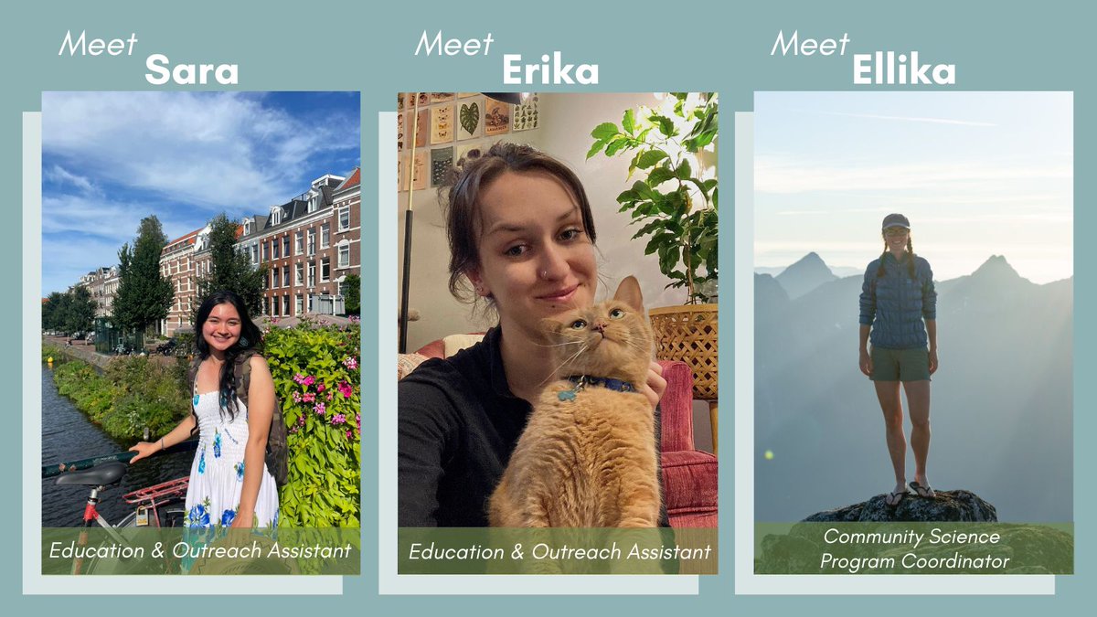 Meet Sara, Erika & Ellika! This is the fifth post of our Meet the Team series - stay tuned for a blog post next week to learn more about our team!

#MeetTheTeam #NonProfit #SeatoSky #EnvironmentalNonProfit #Squamish #Whistler #Pemberton #BCNonProfit #NatureLovers