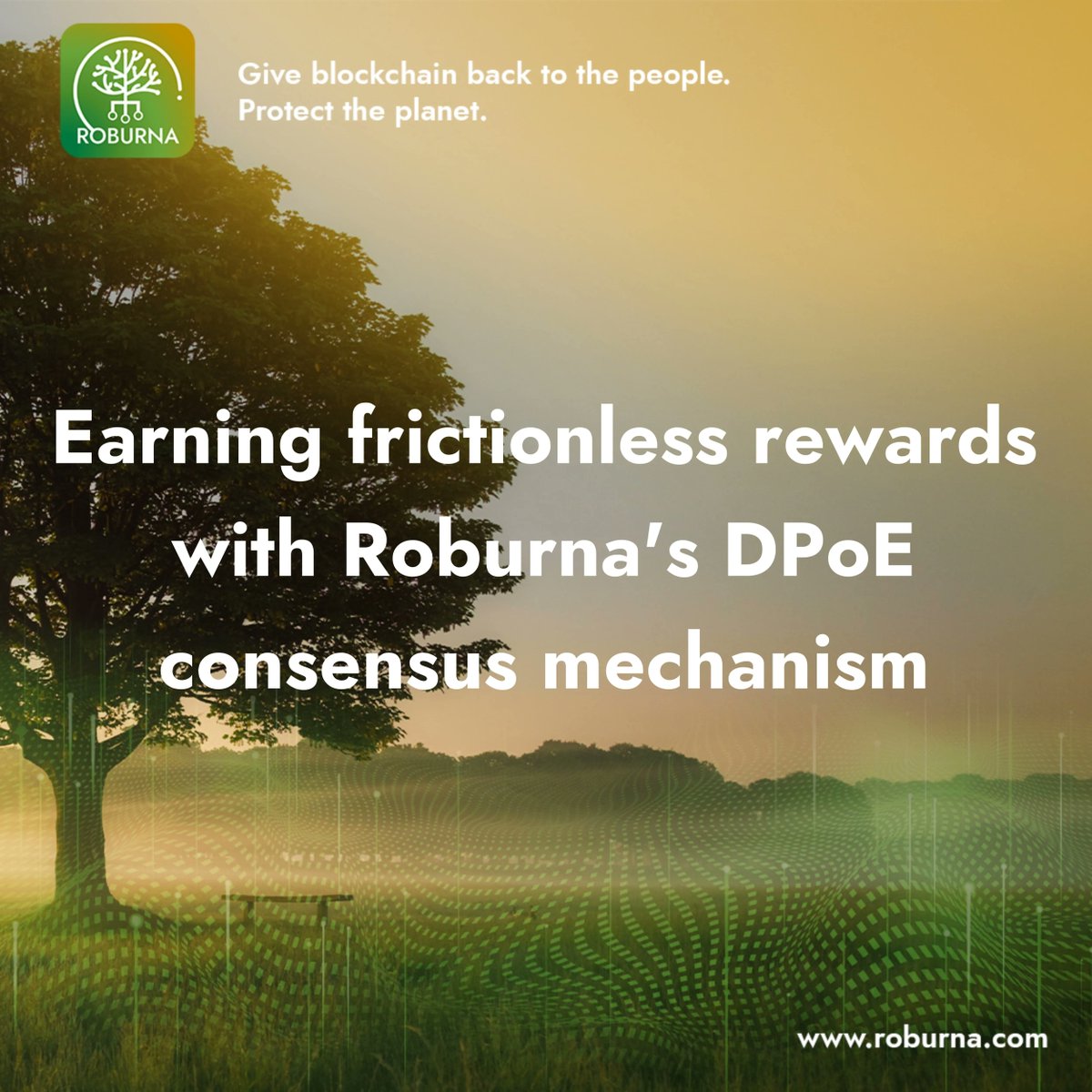 Roburnaofficial's tweet photo. Roburna's Delegated-Proof-of-Earn consensus mechanism is a game-changer. Pool resources to become a Roburna blockchain validator and share in the rewards-https://t.co/a0xZ0io7Fz
#Roburna #DPoE #Crypto https://t.co/tI0IGzZozi