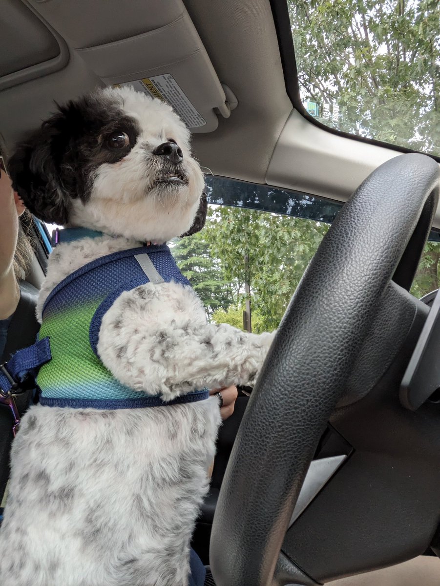 Went for a drive today to take my niece to work.