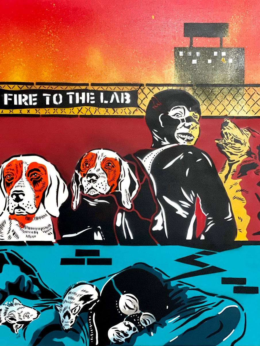 Happy Friday! 
Always against animal experiments 
RT if you are too.