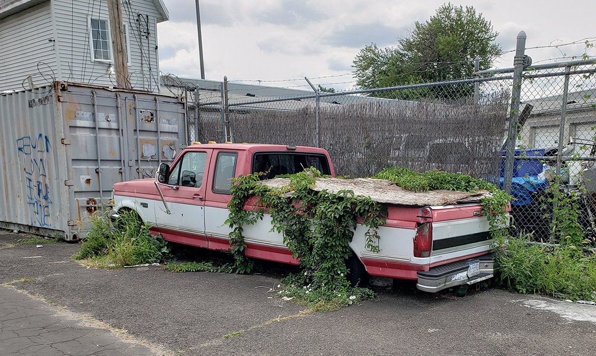 concretebotany tweet media