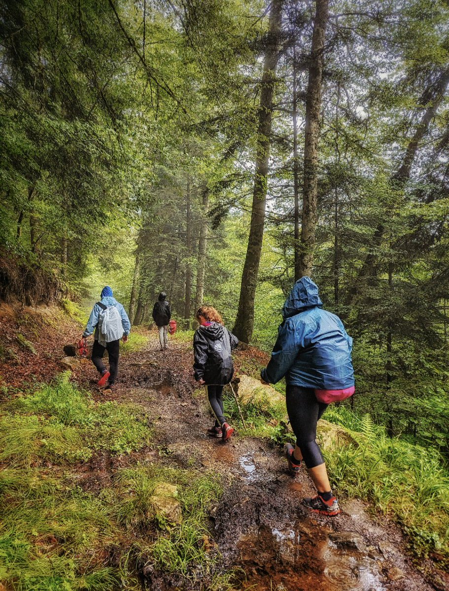 BasurdeEditions's tweet photo. Incluso lo malo aporta algo positivo en la vida, porque aprender es avanzar 🥰😍
.
👉Follow
@BasurdeEditions
👉Somos Aventura, Monte y TrailRun🏔️🏃💪🥰
.
#BeAdventurer #Basurde
#portillon #cascada #luchon #pirineo https://t.co/Gveh32sh17