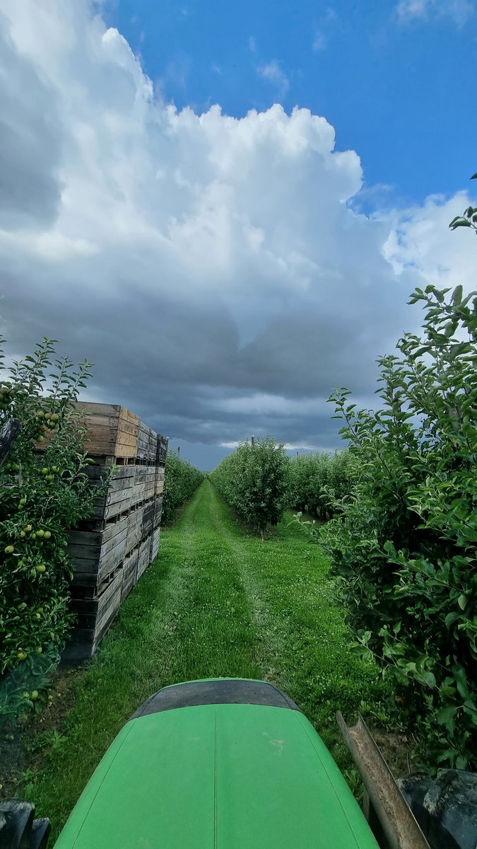 Benj' Thi🇫🇷🍎🥔 (@benj_thi) on Twitter photo "Un temps de paysan est un temps qui ne dure pas longtemps..."
Ça faisait bien 3h qu'il n'avait pas plu ...
#vendreditoutestpermis #FrAgTw
<a href="/BruCardot/">Bruno 😅Salut Salut</a> <a href="/agritof60/">Christophe Grison</a> <a href="/JeunesAgri/">Jeunes Agriculteurs</a> <a href="/Agridemain/">#agridemain</a> @batistepineau <a href="/juliengalpespom/">Julien Giraud</a> <a href="/babid_04/">Jean-David</a> <a href="/VergersEcoResp/">Vergers écoresponsables</a> "Un temps de paysan est un temps qui ne dure pas longtemps..."
Ça faisait bien 3h qu'il n'avait pas plu ...
#vendreditoutestpermis #FrAgTw
<a href="/BruCardot/">Bruno 😅Salut Salut</a> <a href="/agritof60/">Christophe Grison</a> <a href="/JeunesAgri/">Jeunes Agriculteurs</a> <a href="/Agridemain/">#agridemain</a> @batistepineau <a href="/juliengalpespom/">Julien Giraud</a> <a href="/babid_04/">Jean-David</a> <a href="/VergersEcoResp/">Vergers écoresponsables</a>