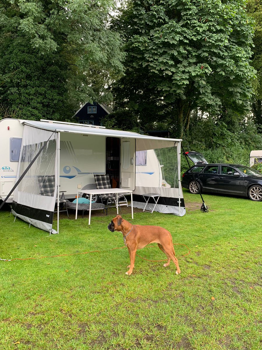 Nico Schotanus tweet media