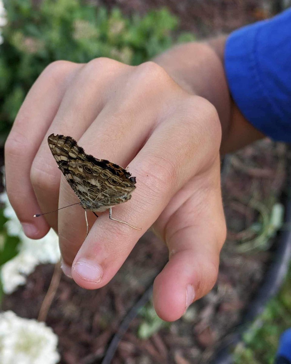 VON Erie St. Clair tweet media