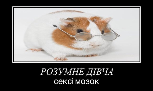 kisshimhesirish's tweet photo. Ясмін Кхан https://t.co/qSzMk9l1pD