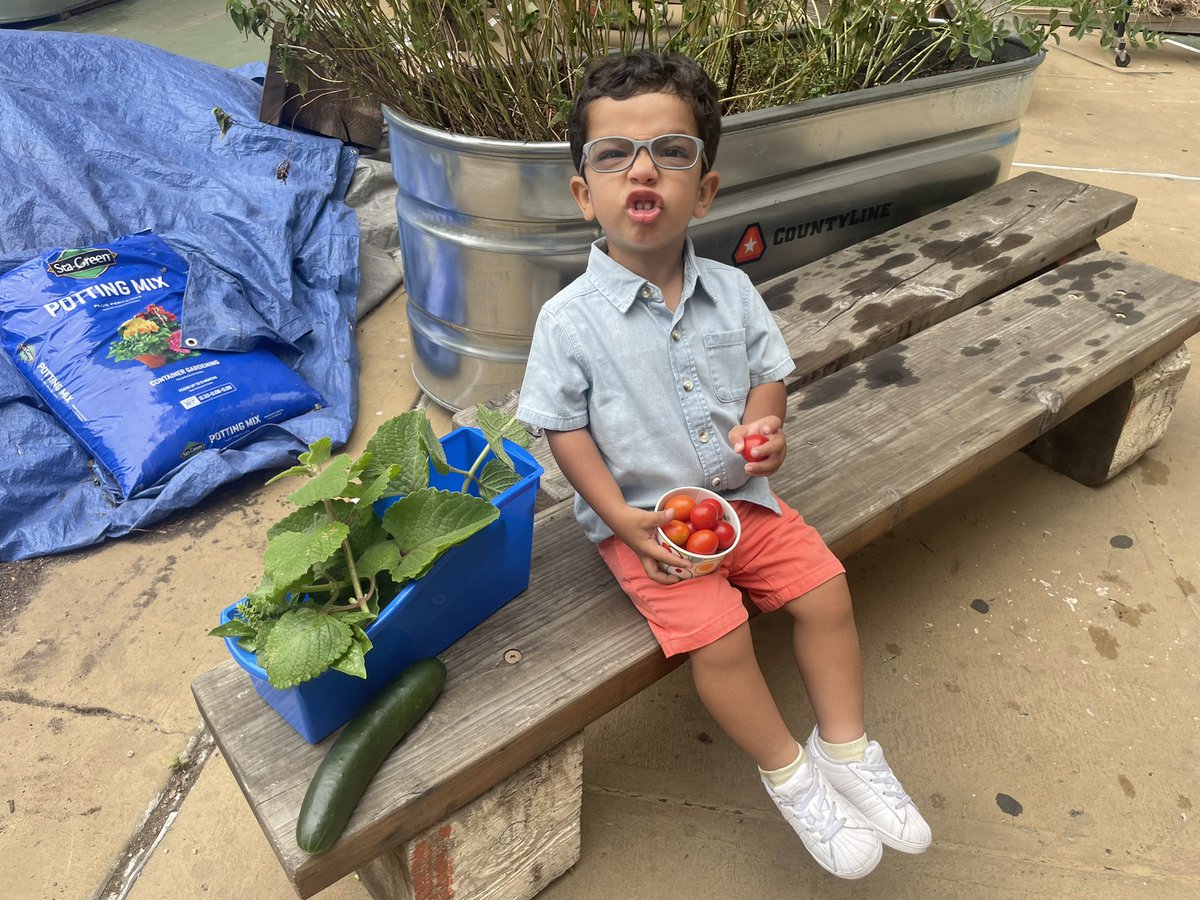 MrFullerDOE's tweet photo. I love that over the summer I get to bring my kids to our school garden @Magnet157 @NYCSD14 @GrowNYC #gardening #urbangarden #schoolgarden https://t.co/PYMaq4cXZw