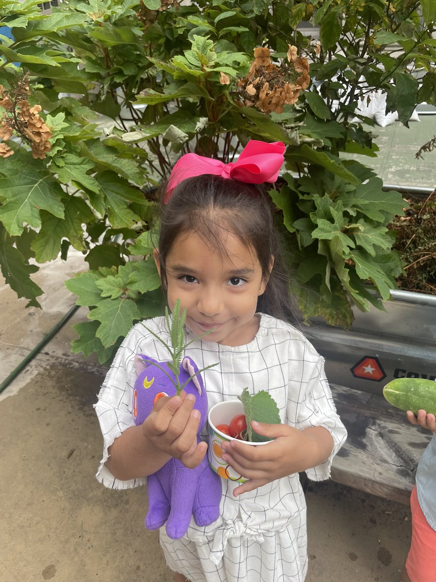 MrFullerDOE's tweet photo. I love that over the summer I get to bring my kids to our school garden @Magnet157 @NYCSD14 @GrowNYC #gardening #urbangarden #schoolgarden https://t.co/PYMaq4cXZw