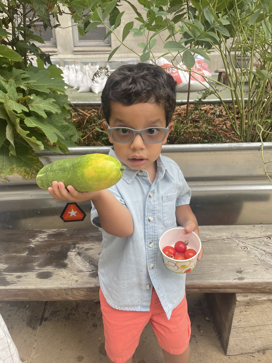 MrFullerDOE's tweet photo. I love that over the summer I get to bring my kids to our school garden @Magnet157 @NYCSD14 @GrowNYC #gardening #urbangarden #schoolgarden https://t.co/PYMaq4cXZw