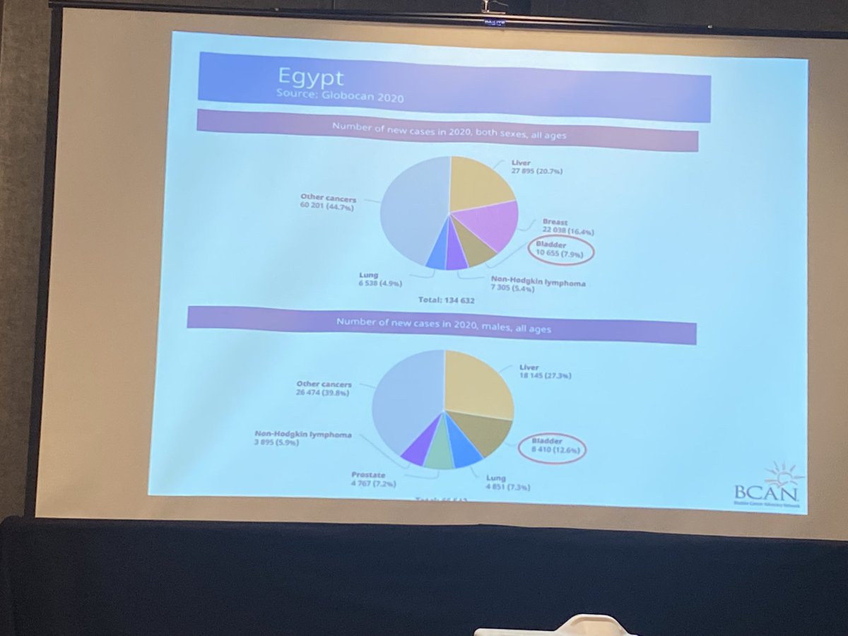 Andrea Apolo, M.D. (@apolo_andrea) on Twitter photo <a href="/karima_oualla/">Karima Oualla, MD,MSc</a> discusses #BladderCancer & #RareVariants in Africa. We need collaborations like <a href="/GTumors/">Global Society of Rare GU Tumors</a> to bring novel treatments to our patients <a href="/karima_oualla/">Karima Oualla, MD,MSc</a> discusses #BladderCancer & #RareVariants in Africa. We need collaborations like <a href="/GTumors/">Global Society of Rare GU Tumors</a> to bring novel treatments to our patients
