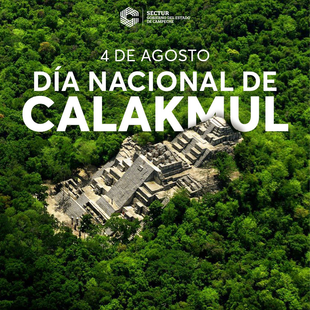 CampecheTravel's tweet photo. Nos sentimos orgullosos de  celebrar el #DíaNacionaldeCalakmul, antigua ciudad maya declarada Patrimonio Mixto de la Humanidad. 🌿🍃 https://t.co/KUSMfc7h5V