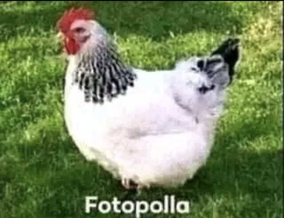 Aqui va una fotico pa todas o todos 🤨 los q me ansian