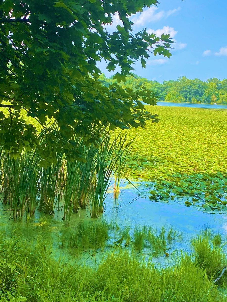 If we look around God of Living it’s every where and if you hungry always look around God it’s a Provider of Care and Support of everything.. Friday Blessing to you all 🤩