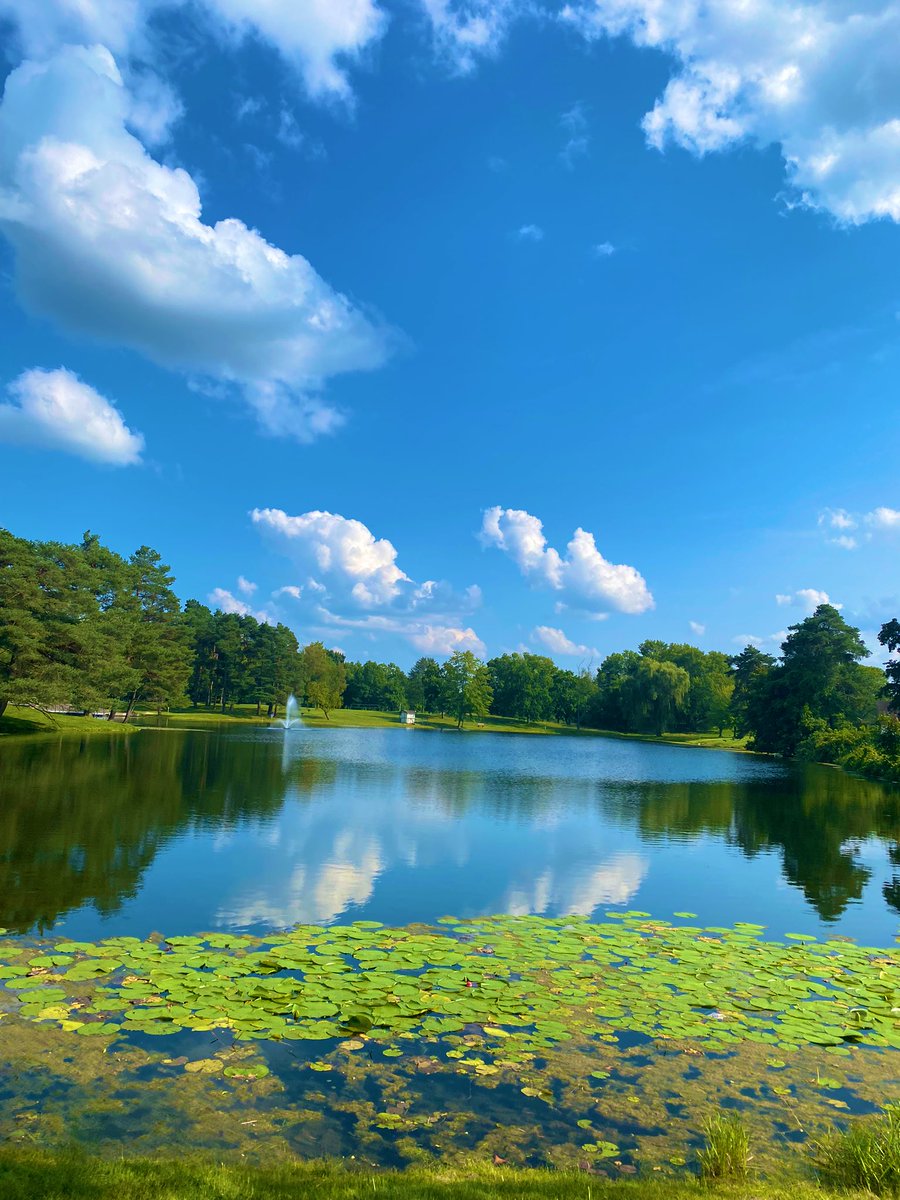 Vera Curaj-Minuz tweet media