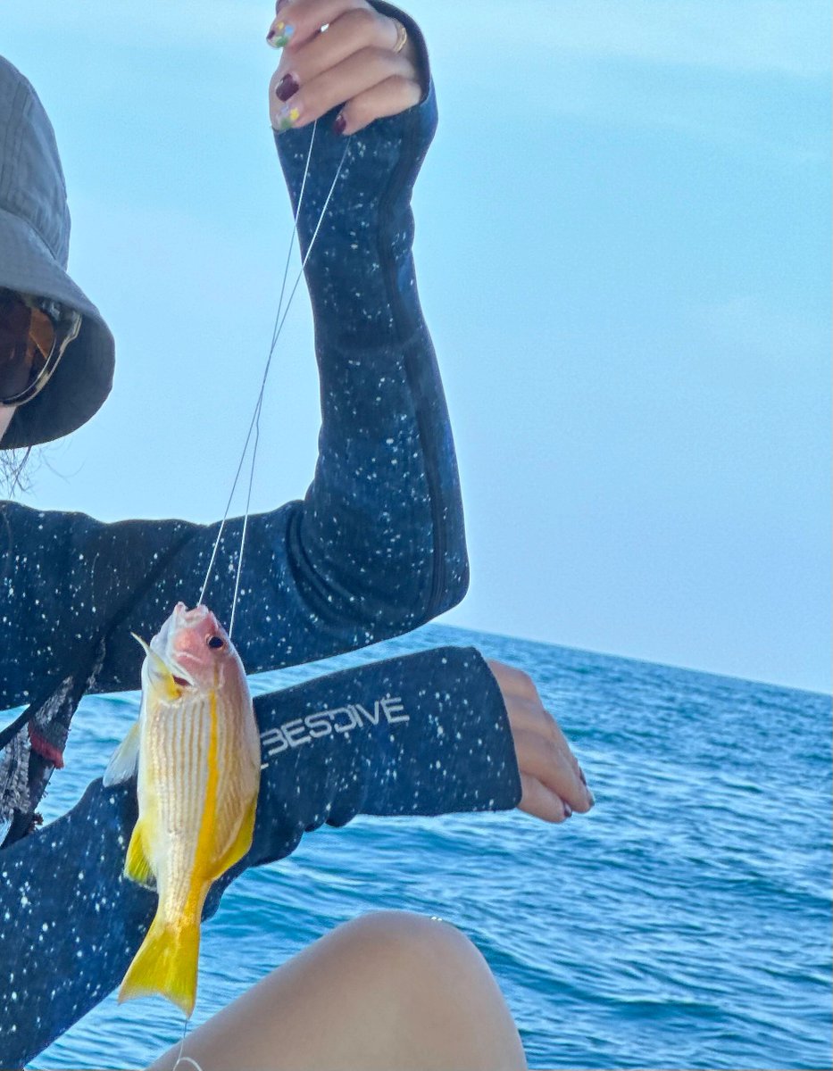 VeraaaYang's tweet image. When you can't catch a fish, you go down and catch it.🤣🤣🤣

#Seafishing
#Hooks
#Fishinggear
#Fishfarming
#Seaside
#Speedboatfishing
#Fishingtournaments
#Fishing