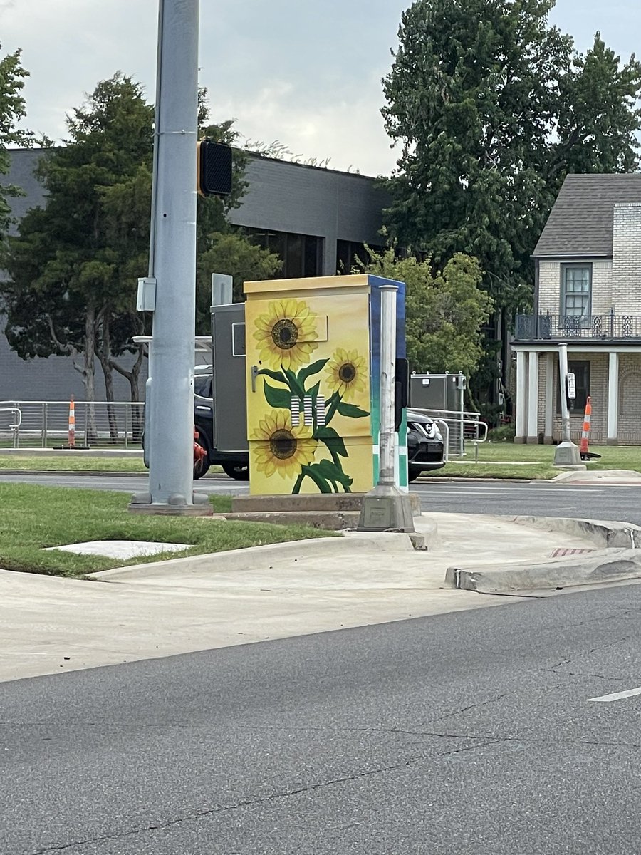 The first public art on a traffic box I’ve seen in city limits. Do we think this is a guerilla art project, or a permit approved project? Lol