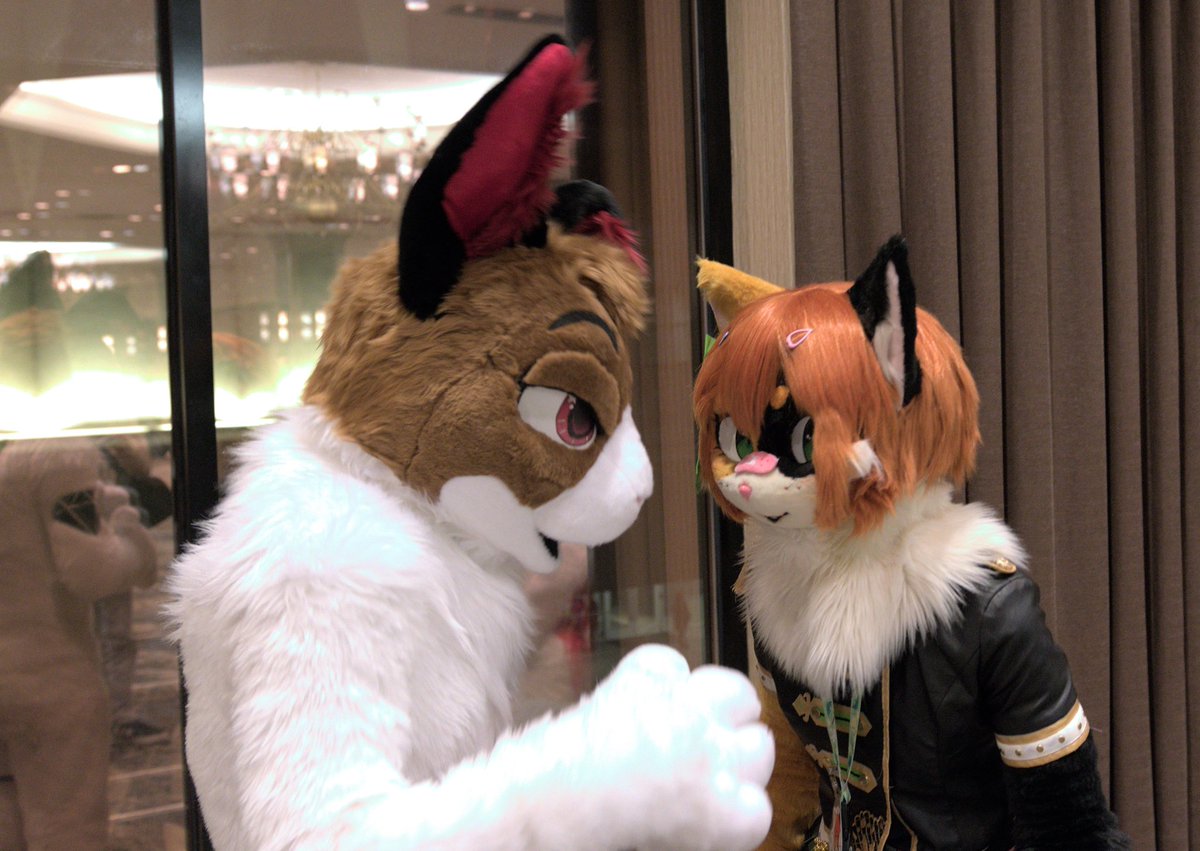 Lenjamin~🐰 tweet media