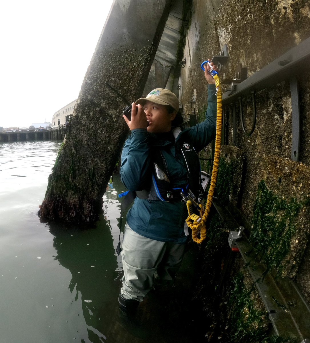 Happy #FieldworkFriday! Our #LivingSeawall team is ecstatic/exhausted after a week of monitoring at the Ag Building &amp; Pier 45 (yay for 6am low tides)! 😄 We successfully surveyed all our tiles and will wrap up summer monitoring at South Beach Harbor in a couple weeks!