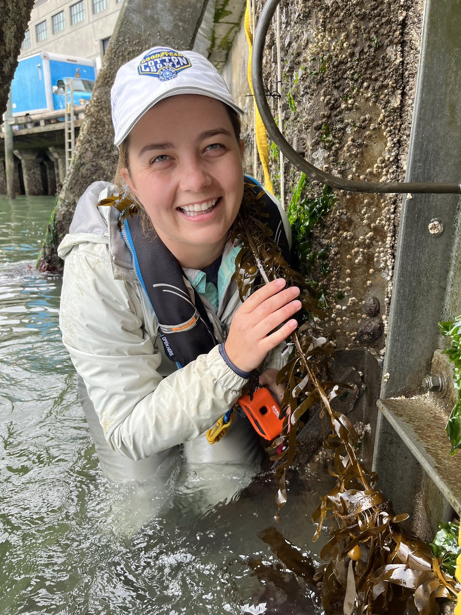 SERC Marine Invasions Research Lab tweet media