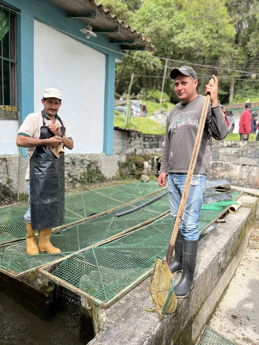Minpescave2's tweet photo. En #Mérida se llevó a cabo un recorrido en los campos de producción truchícolas de La Mucuy y en la Unidad de Producción Socialista Fabricio Ojeda, para constatar las condiciones de estas áreas y potencialidades.

@NicolasMaduro
@Jcloyo
#GNBArmadosDePaz https://t.co/WJqKA5AwYU