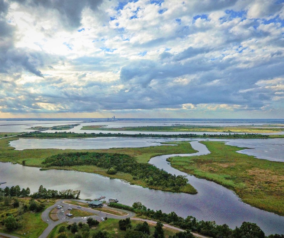 APTV's tweet photo. The Mobile area's role as a seaport is well-known, from its shipbuilding industry to its abundance of seafood. But did you know that it's Alabama's only saltwater port?
#LSNED #AlabamaTrivia #MobileAL https://t.co/K5fKWEPS01