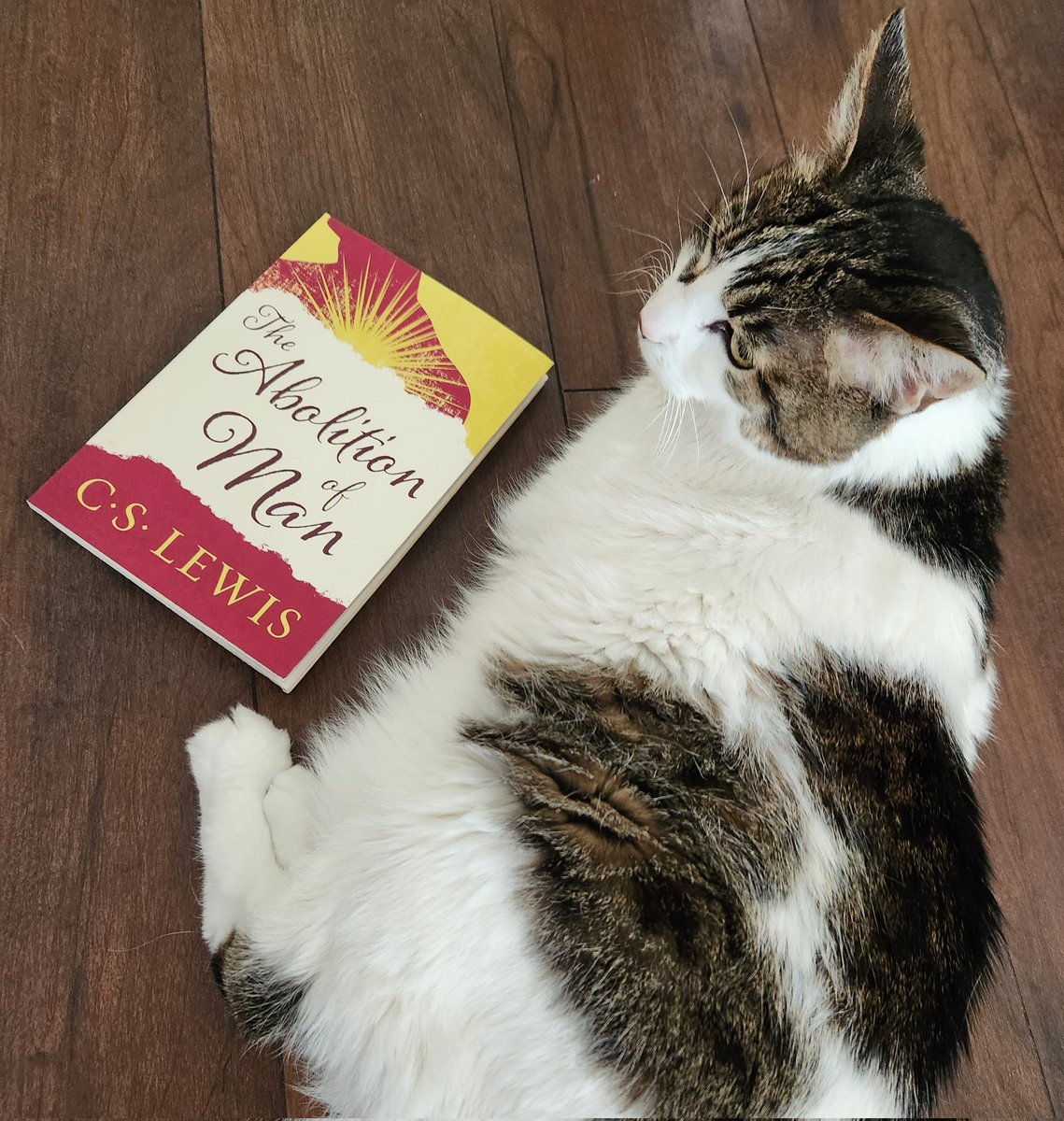 Ginger Allen tweet media