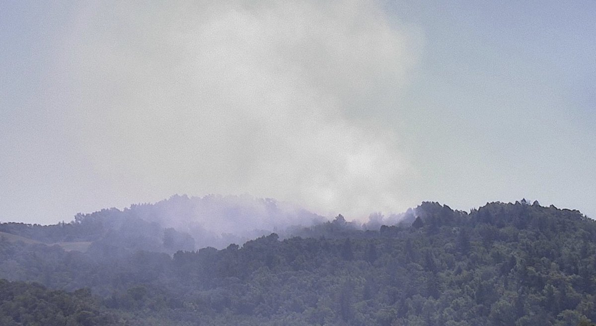 Sarah_Stierch's tweet photo. #PartrickFire - Lower Mt. Veeder camera has major volcano vibes. https://t.co/7UDaPBHUBD https://t.co/pozdhvg5nN