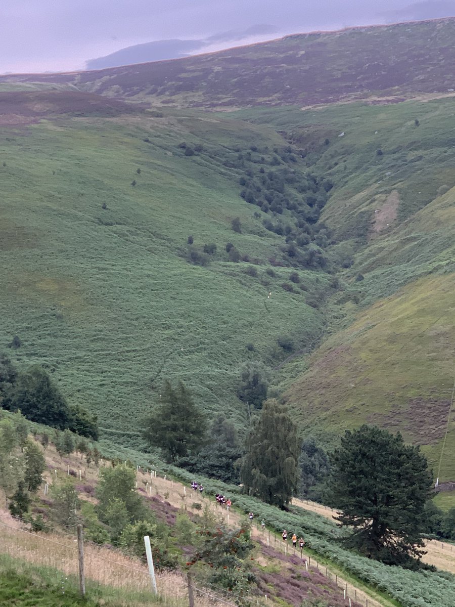 edalemrt's tweet photo. Incident 86 - Friday 4th August 2023 10:33 hrs. A young man bouldering at Stanage fell and fractured an ankle. Analgesia, relocation of the joint, a splint and then stretchered to the ambulance. Some of the team then did safety for the Salt Cellar fell race this evening. https://t.co/09cAnbtAnl