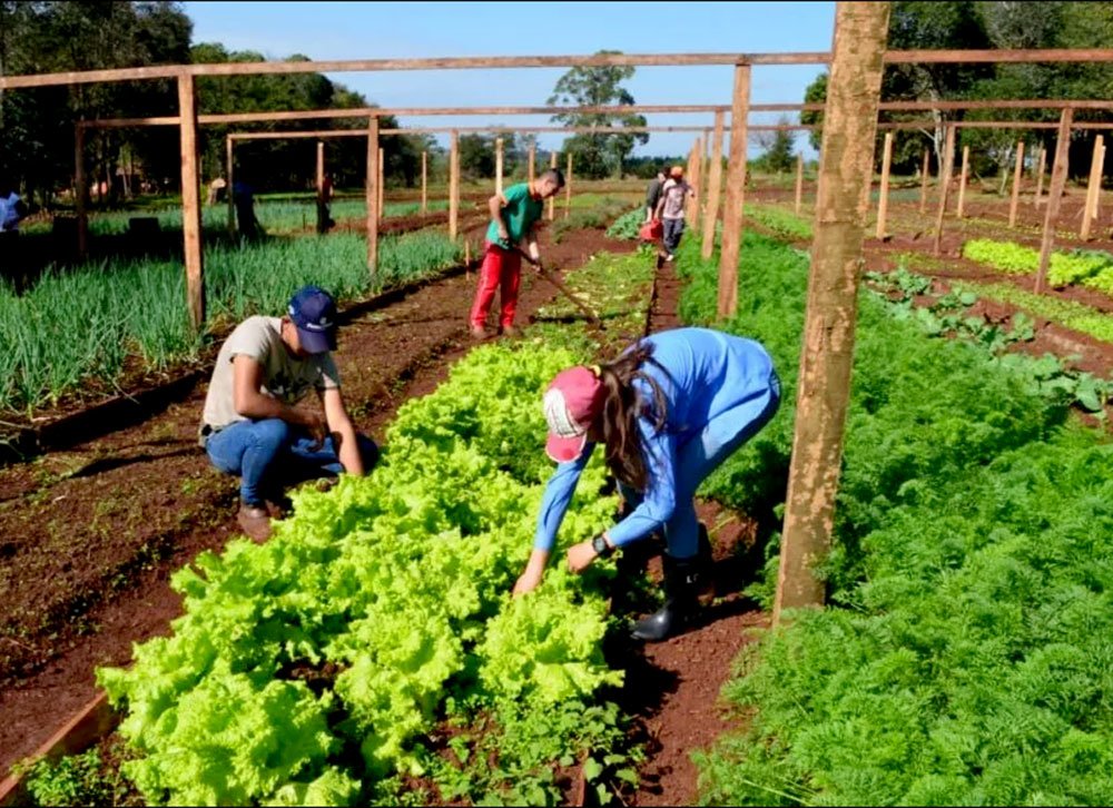 🗓️ 6 de Agosto
✅ Día de la Educación Agraria

👉Un saludo de SUETRA en este día a todos los actores del mundo de la educación agraria 
🐄🌽🐖👨‍🏫👩‍🏫