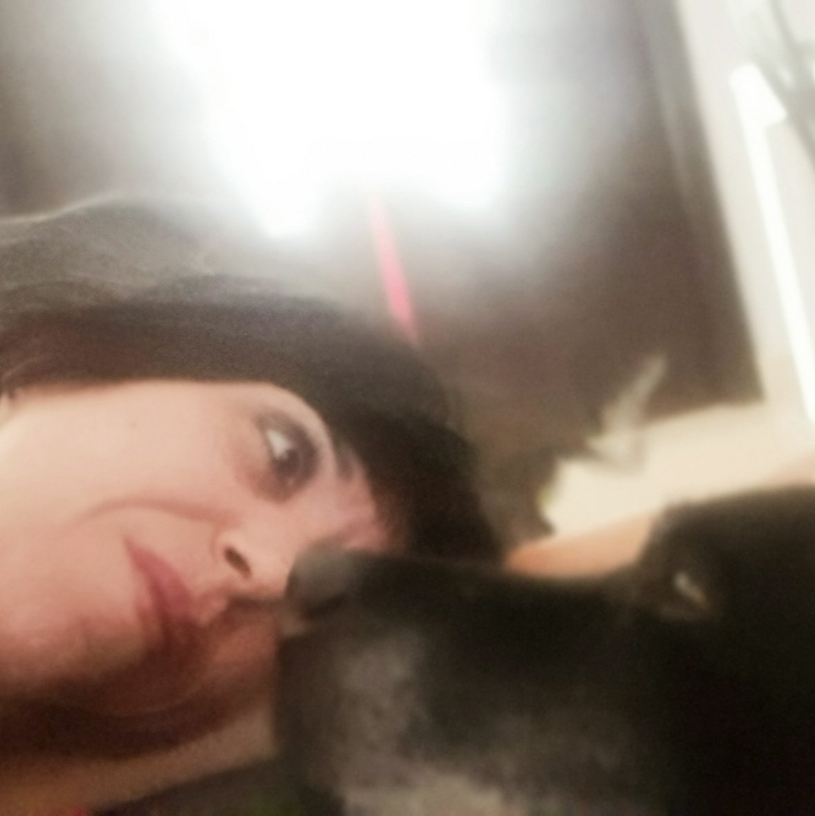 rohuelva's tweet photo. #NuevaFotoDePerfil https://t.co/icMUH3Sdkp