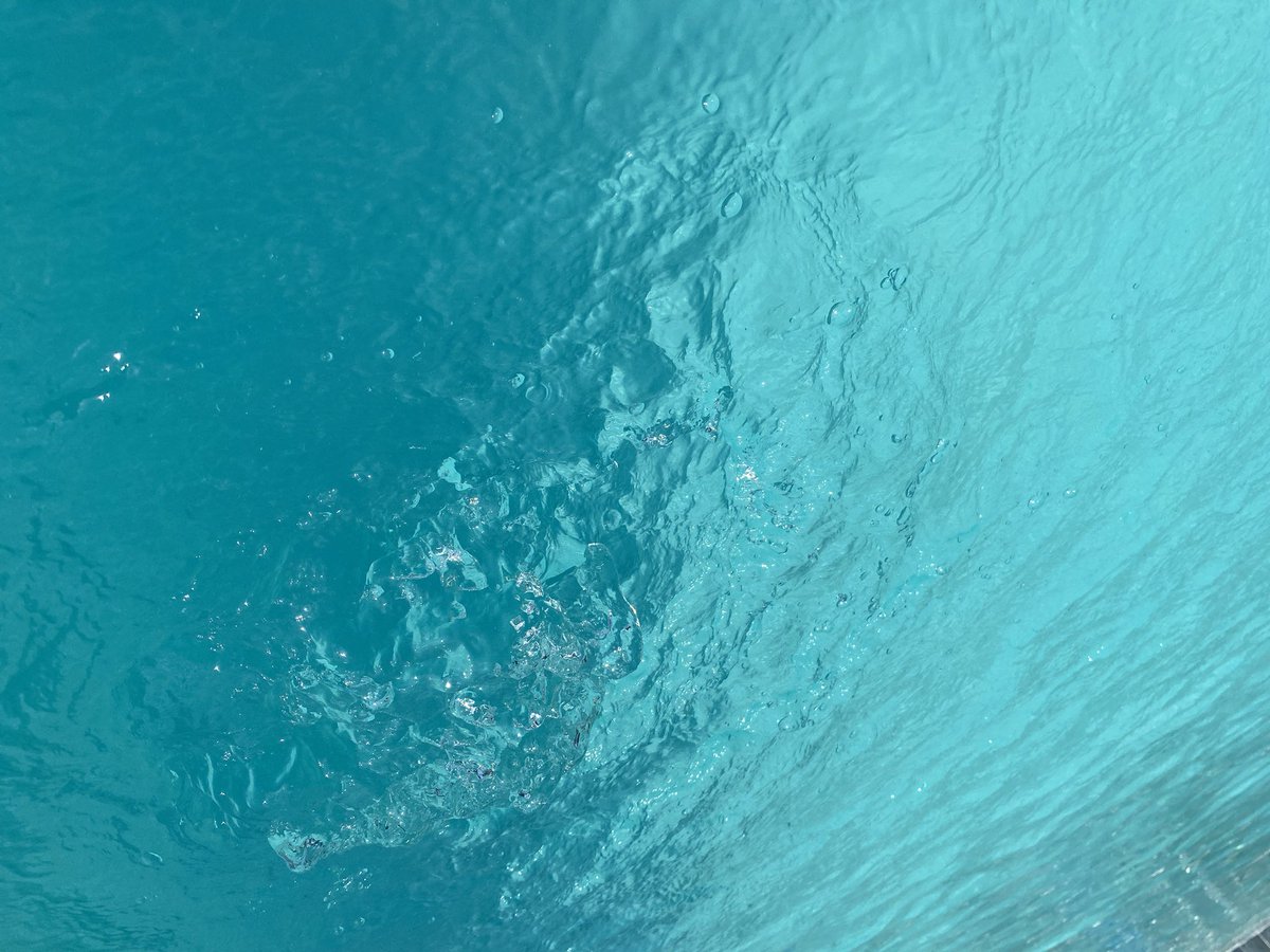 HighTimez tweet media