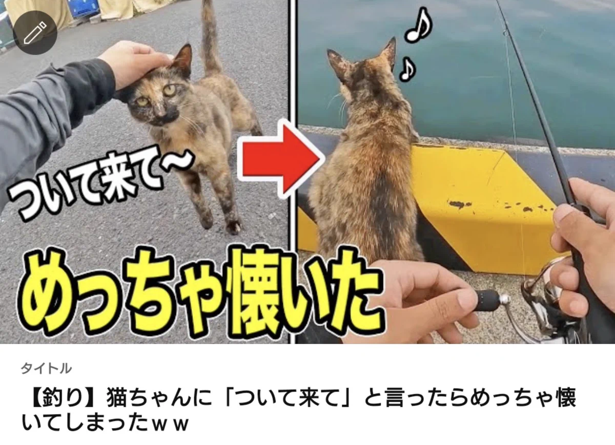 釣りのうらもっちゃんねる👅 on X: 