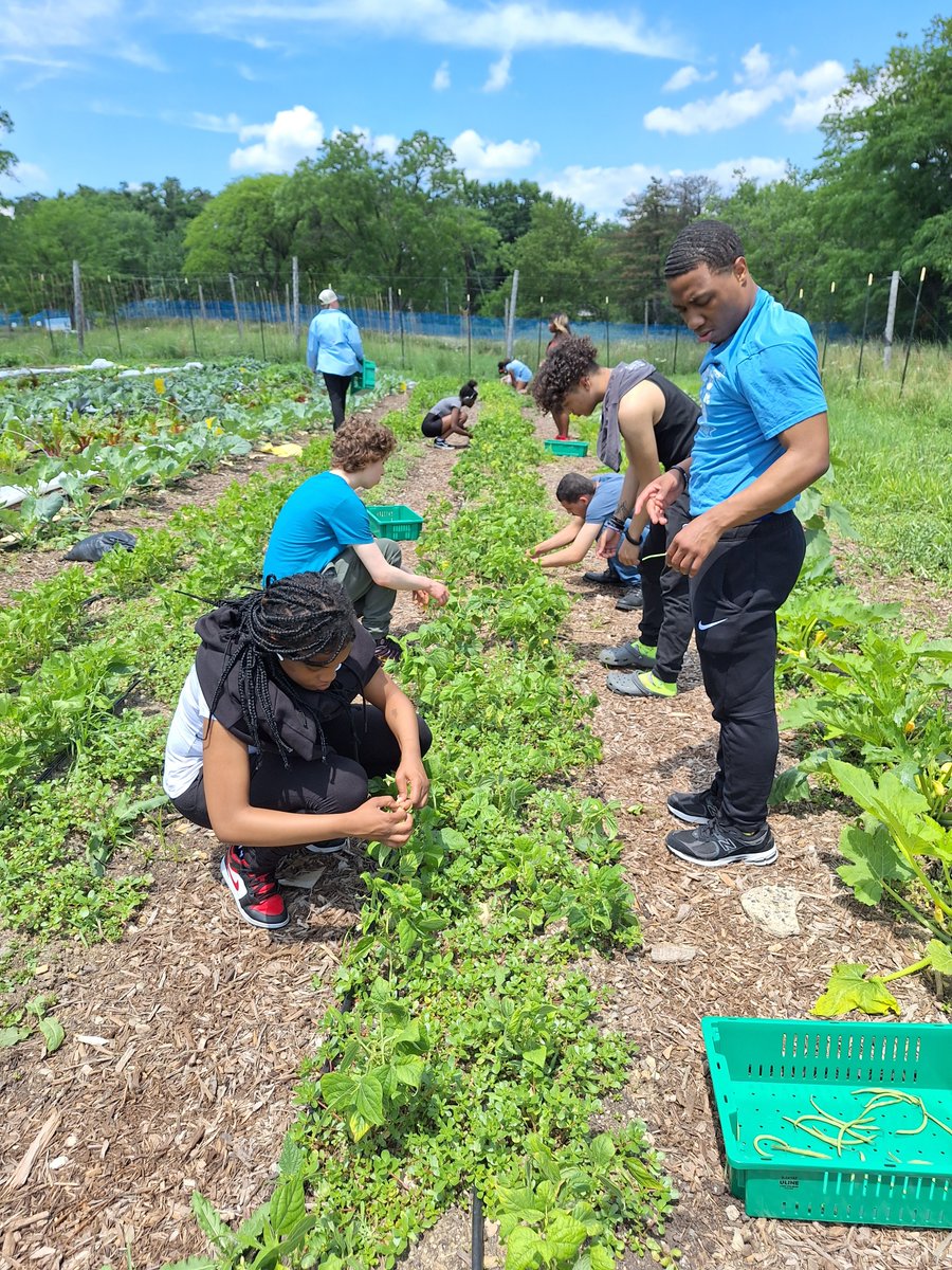 City High tweet media