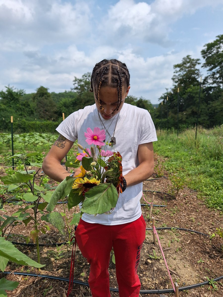 City High tweet media