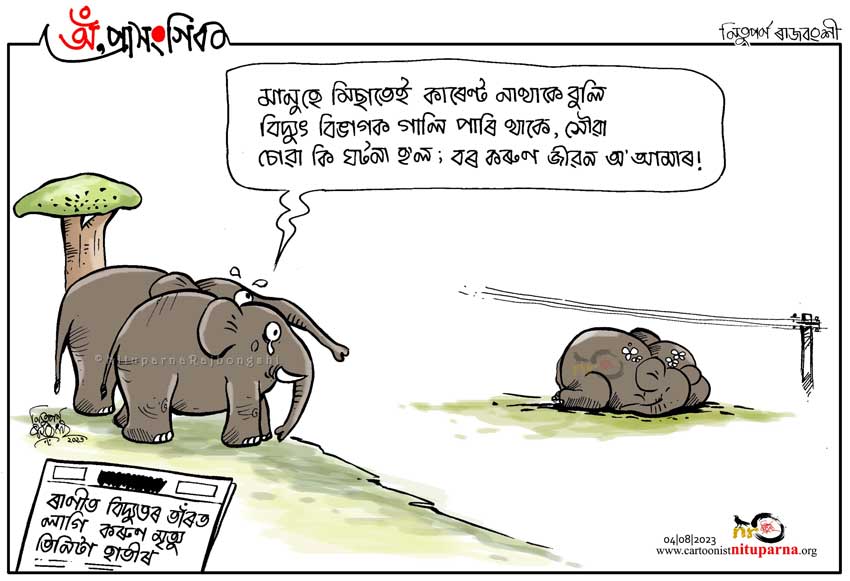 #SaveElephant #SaveWildlife #Assam  cartoonistnituparna.org