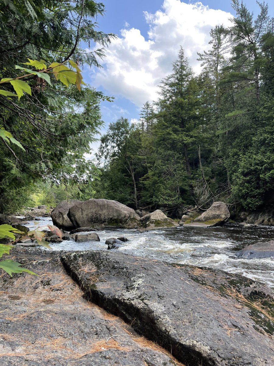 _XGUAY's tweet image. Scraped my ankle at the chutes💋