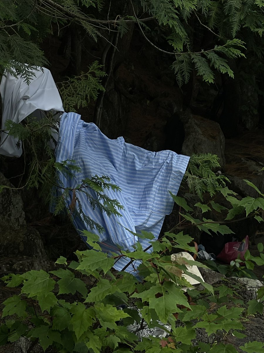 _XGUAY's tweet image. Scraped my ankle at the chutes💋